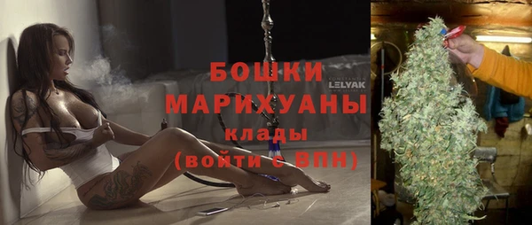 крисы Пересвет
