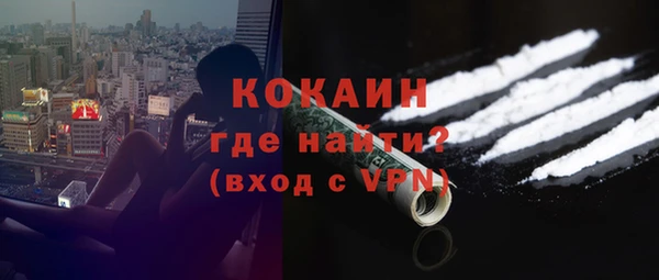 молекула духа Переславль-Залесский