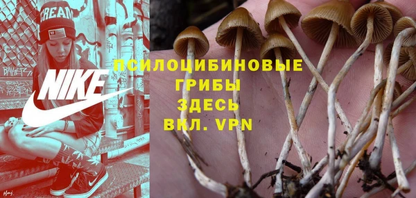 кокс Пенза