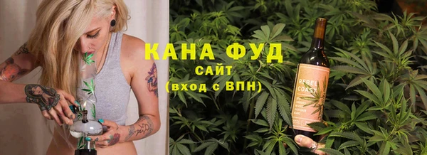 молекула духа Переславль-Залесский