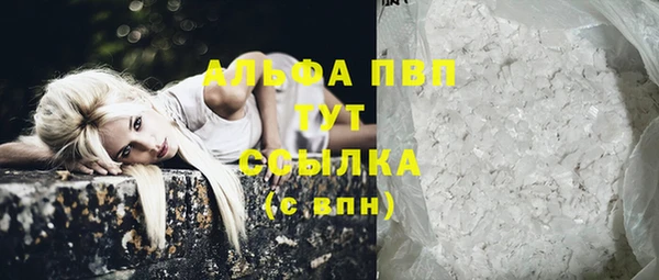 молекула духа Переславль-Залесский