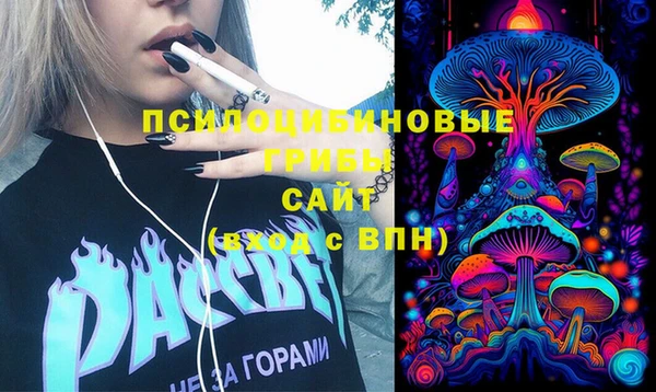 дурь Пестово