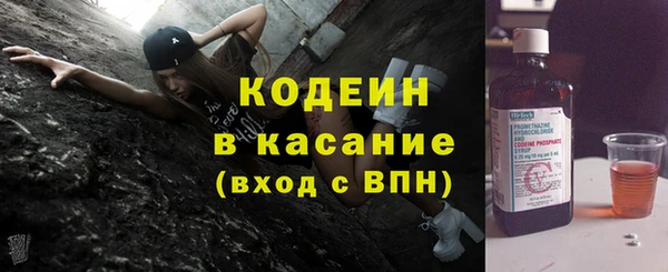 крисы Пересвет