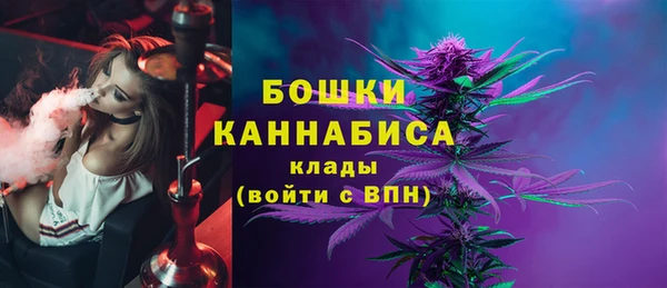 молекула духа Переславль-Залесский